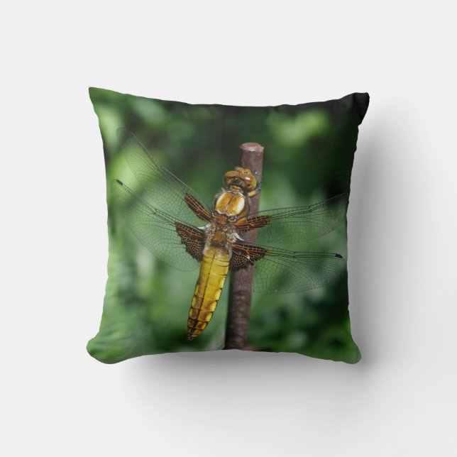 Coussin Libellula depressa (Recto)
