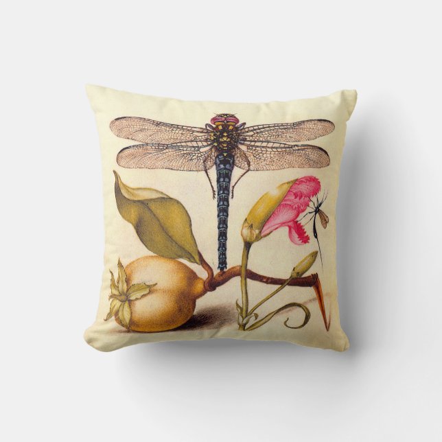 Coussin Libellule Botanique Nature Faune Hoefnagel Art (Recto)