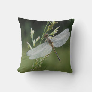 Coussin Libellule Darner couverte de rosée