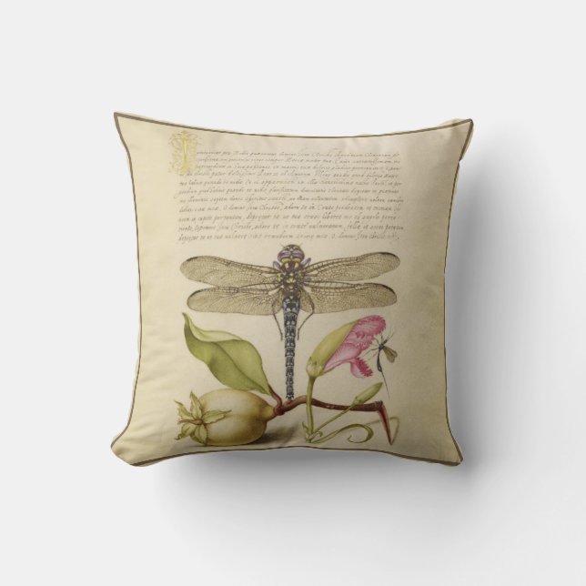 Coussin Libellule, poire, oeillet et insecte Imag antique (Recto)