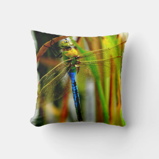 Coussin libellule verte et turquoise bleue, yeux v