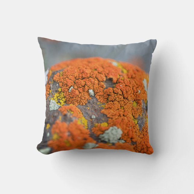 Coussin Lichen orange moss pierre gris (Recto)