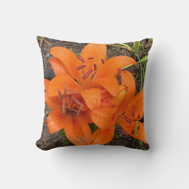 Coussin Lily Jetez Pillo (Recto)