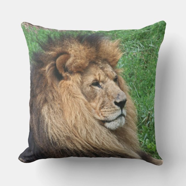 Coussin Lion 001 (Recto)