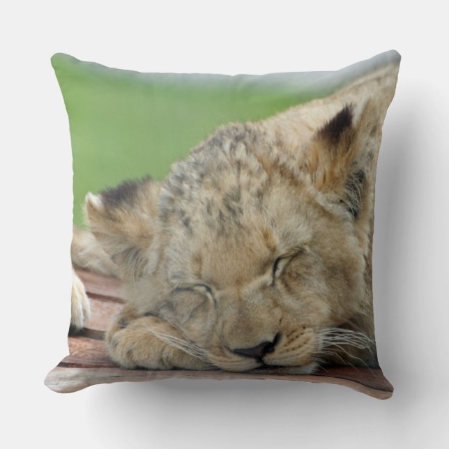 Coussin Lion 014 (Recto)