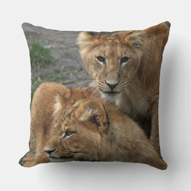 Coussin Lion 033 (Recto)