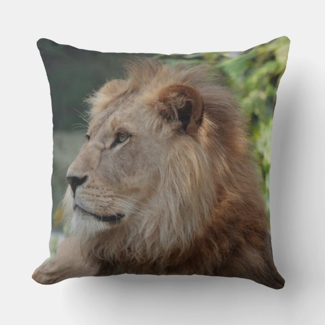 Coussin Lion 035 (Recto)