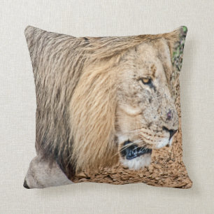 Coussin Lion africain