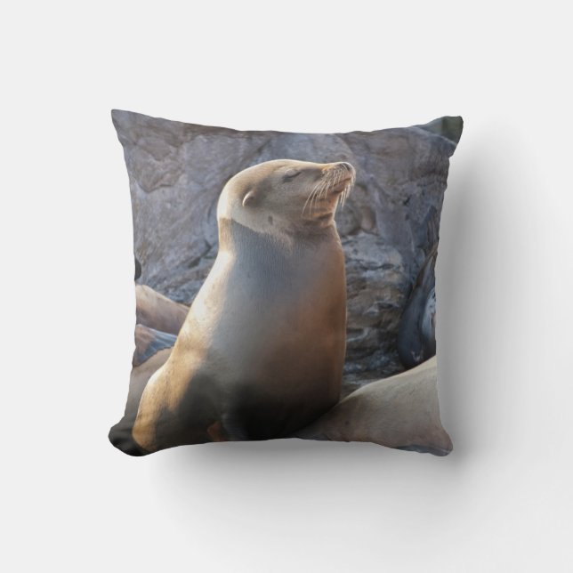 Coussin Lion de mer (Recto)