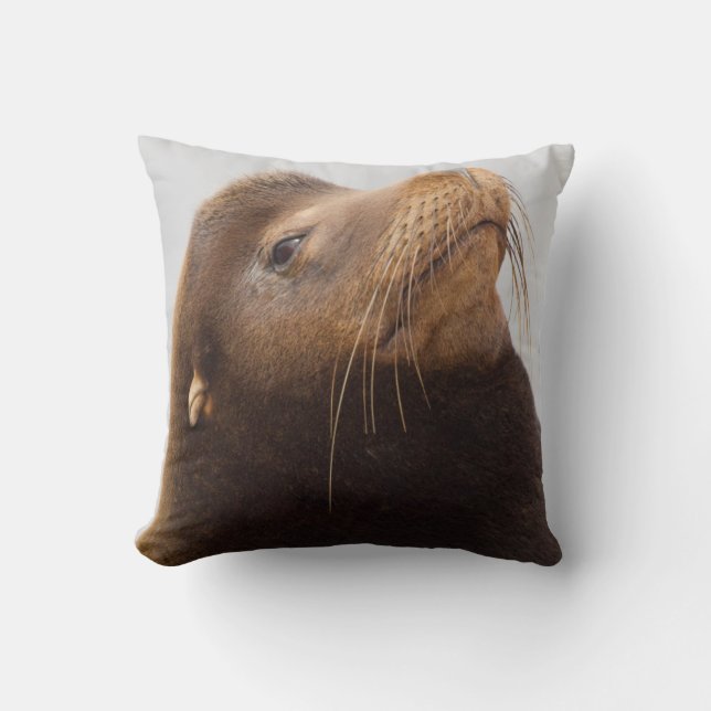 Coussin Lion de mer de Californie (Recto)