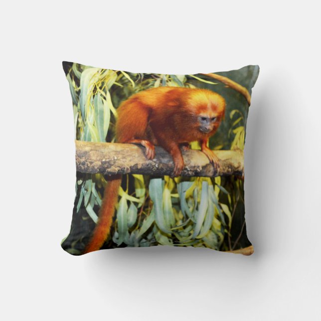 Coussin Lion d'or Tamarin observant, Cushion (Recto)