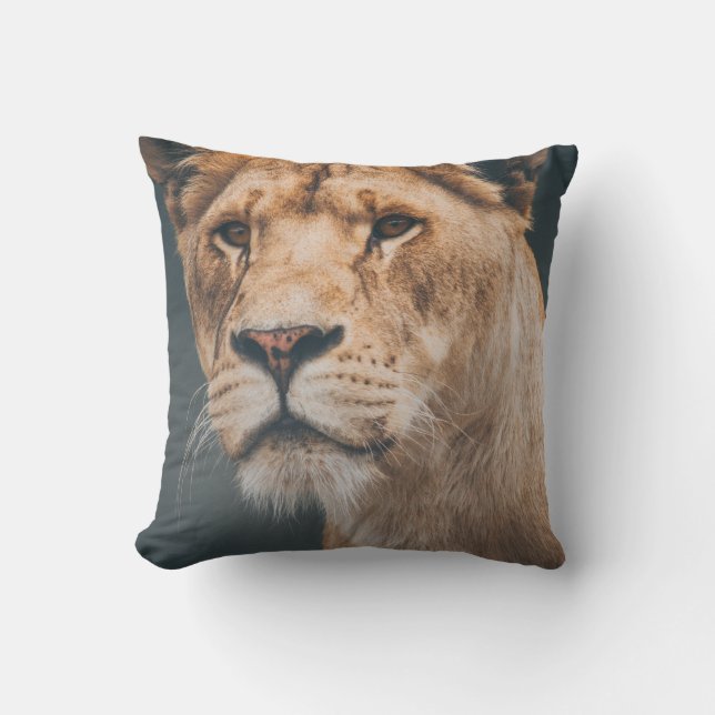 COUSSIN LION FÉMININ AU JYLLAND PARK ZOO (Recto)