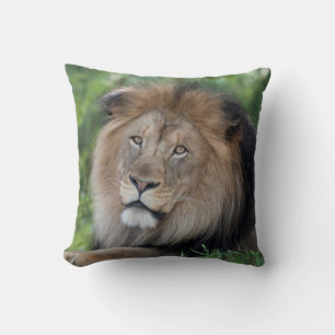 Coussin Lion Lounge dans une forêt