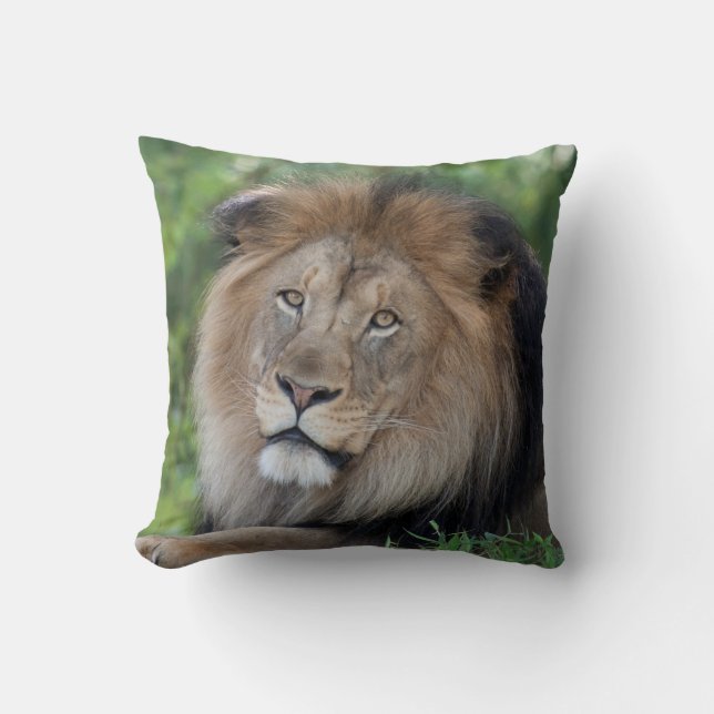 Coussin Lion Lounge dans une forêt (Recto)
