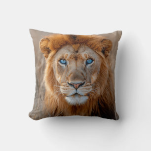 Coussin Lion majestueux mâle aux yeux bleus brillants