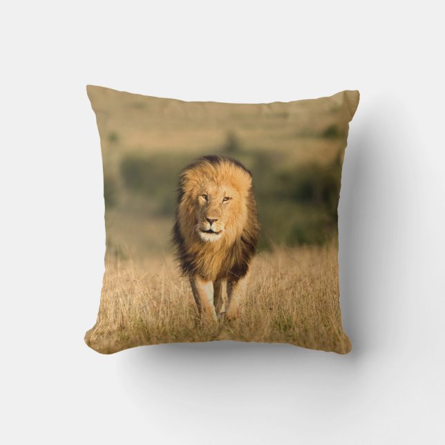 Coussin Lion mâle marchant (Recto)
