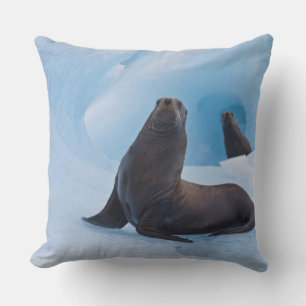 Coussin Lions de mer stellaires joueurs s'amusent sur un i