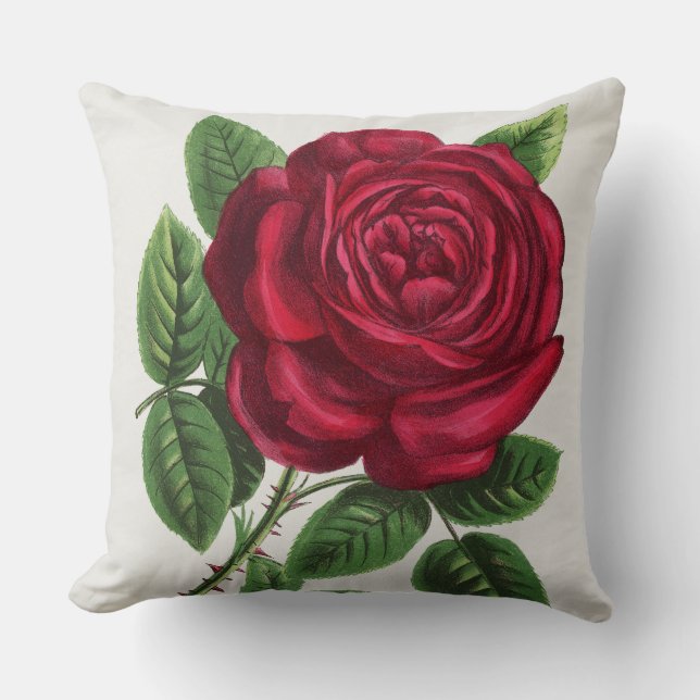 Coussin Lithographie de rose antique, François-Frédéric Gr (Recto)