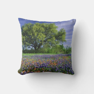 Coussin Live Oak & Texas Paintbrush et Texas