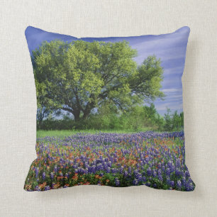 Coussin Live Oak & Texas Paintbrush et Texas