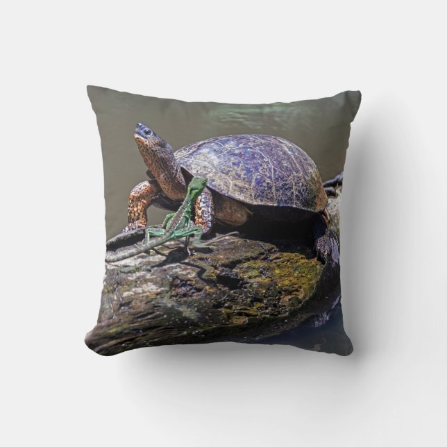 Coussin Lizard et tortue des rivières à Tortuguero - Costa (Recto)