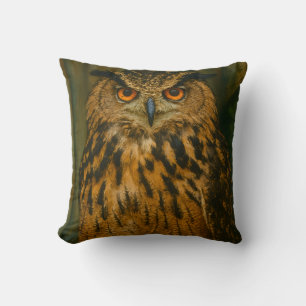 Coussin L'observateur - Aigle eurasien à la lumière du boi