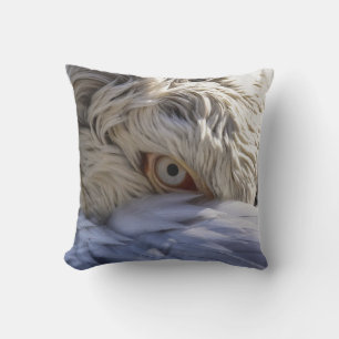 Coussin L'oeil d'un pélican