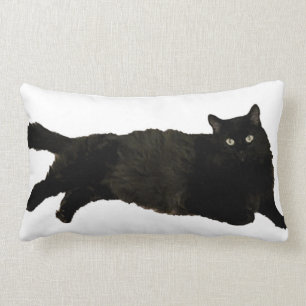 coussin lombaire de chat noir