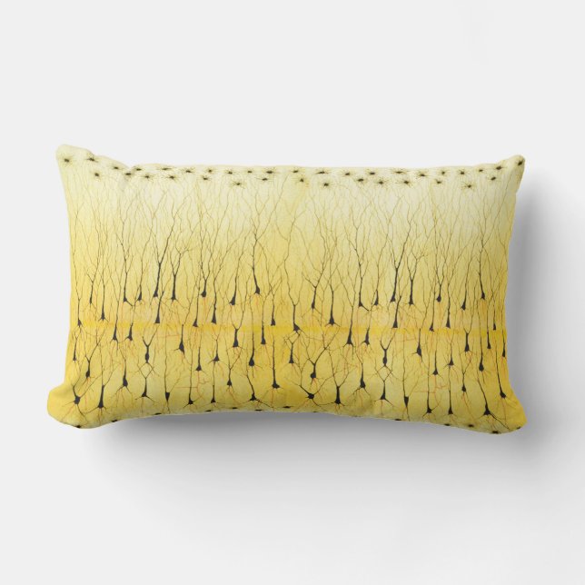 Coussin lombaire de Golgi (Recto)