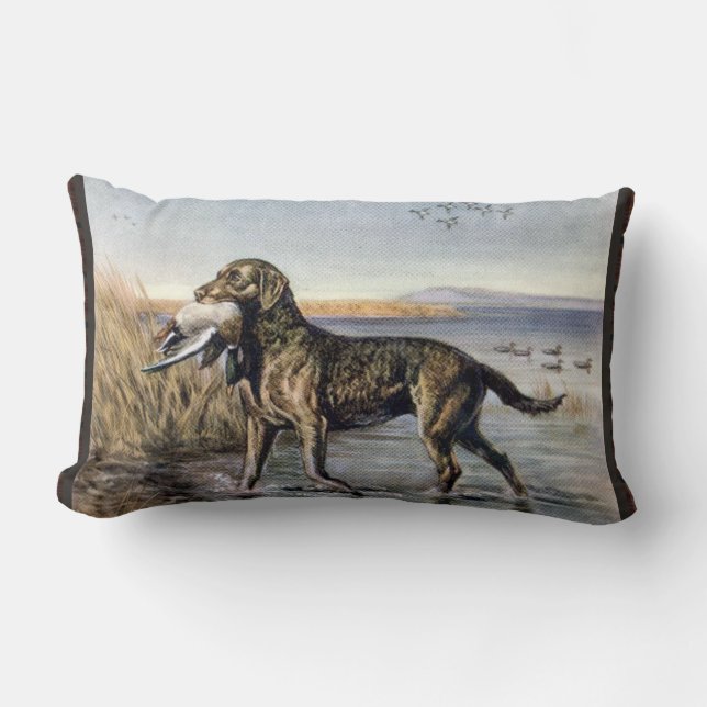 Coussin lombaire vintage de chien d'eau (Recto)