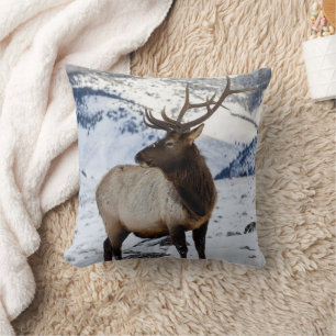 Coussin Lone Bull Elk dans la neige Parc national de Yel