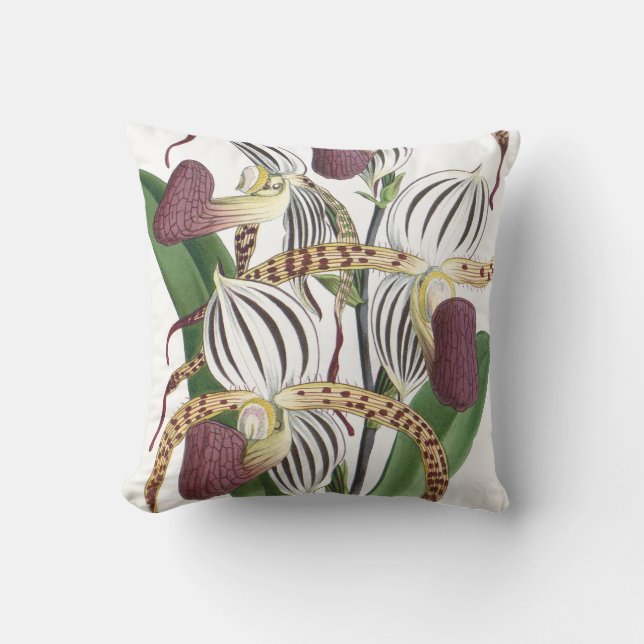Coussin L'orchidée tropicale botanique vintage fleurit (Recto)