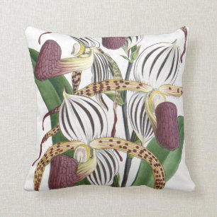Coussin L'orchidée tropicale botanique vintage fleurit