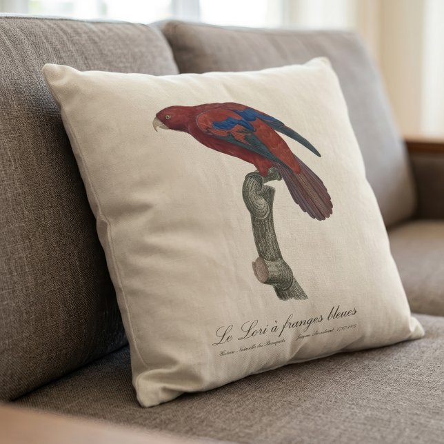 Coussin Lori à queue brune, Trichoglossus borneus (Long-Tailed Red Lory, Trichoglossus borneus. Throw Pillow)