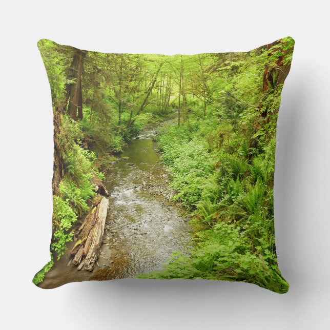 Coussin Lost Man Creek II à Redwood National Park (Recto)