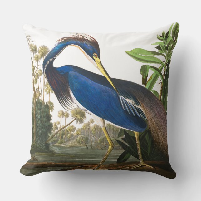 Coussin Louisiana Heron par John James Audubon (Recto)