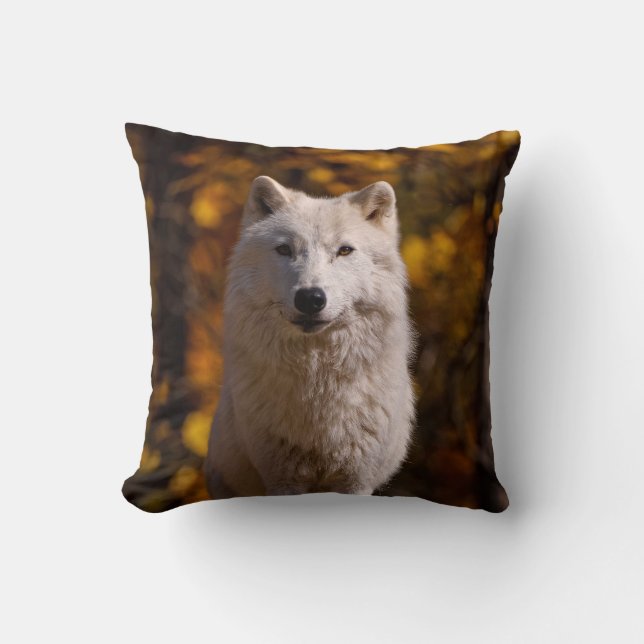 Coussin Loup arctique sur rocher (Recto)
