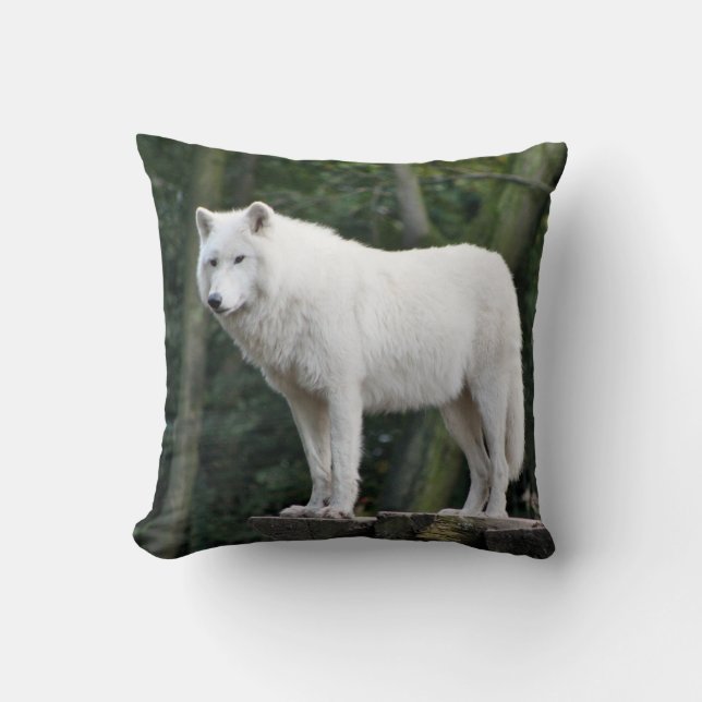 Coussin Loup blanc sauvage (Recto)