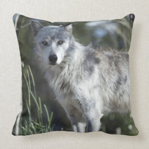 Coussin Loup dans Yellowstone