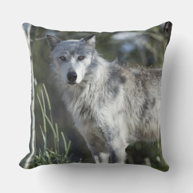 Coussin Loup dans Yellowstone (Recto)