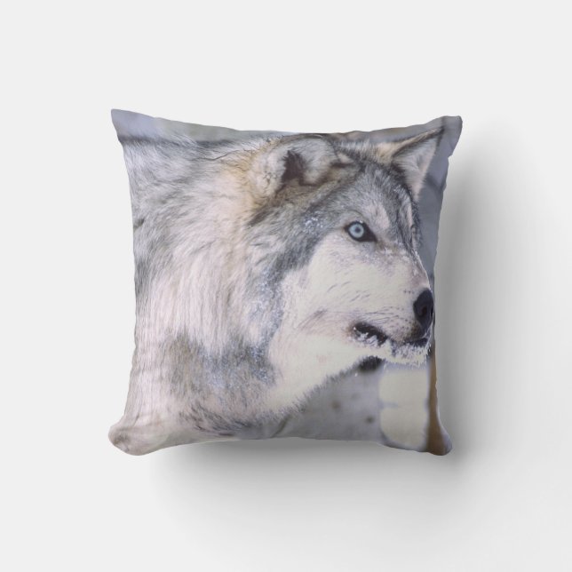 Coussin Loup de bois, Canis lupus, Animal de cinéma Utah) (Recto)