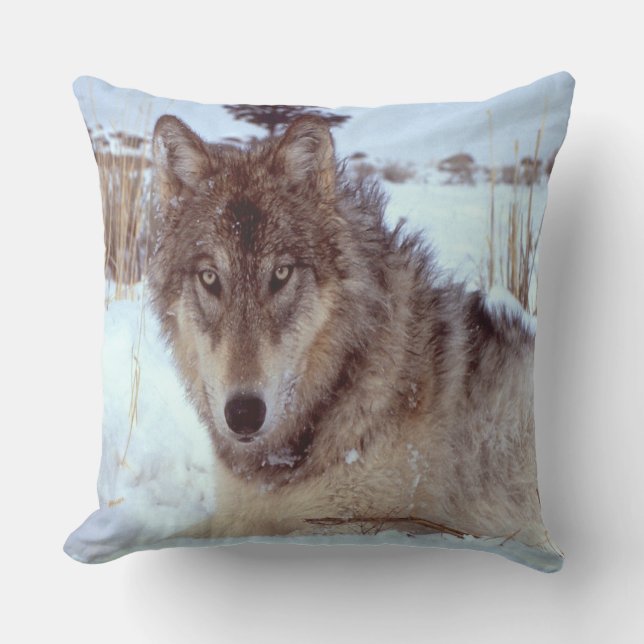 Coussin Loup gris en hiver (Recto)