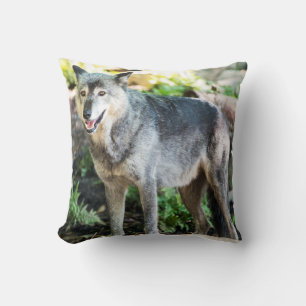 Coussin Loup gris seul se tenant
