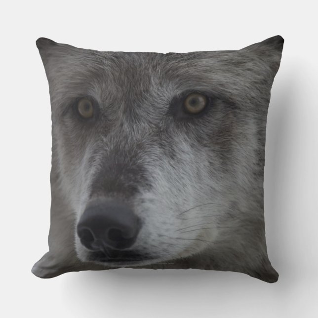 Coussin Loup (lupus de Canus) de ressortissant de (Recto)