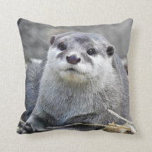 Loutre De petite taille-Griffée par Asiatique