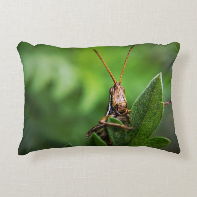 Coussin Lumbar 13 pouces x 21 pouces (Devant)