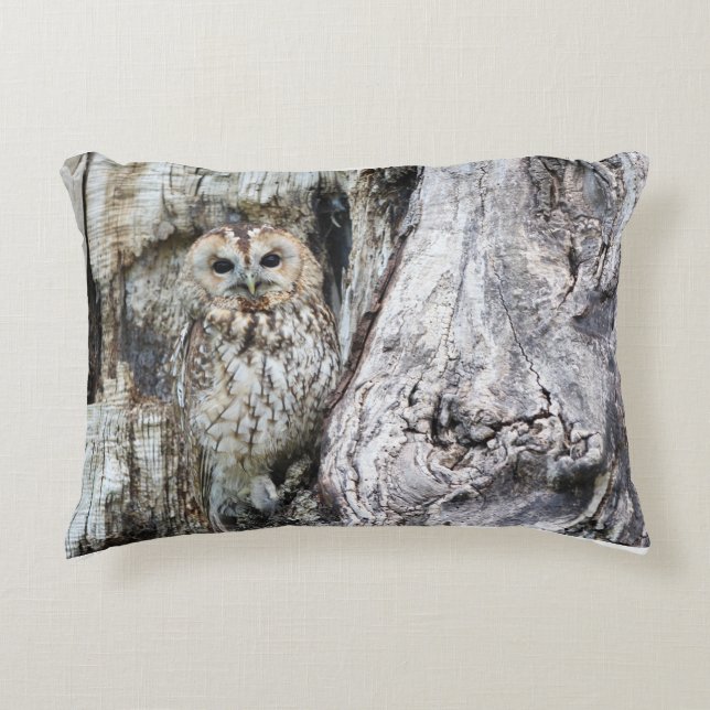 Coussin Lumbar 13 pouces x 21 pouces (Devant)