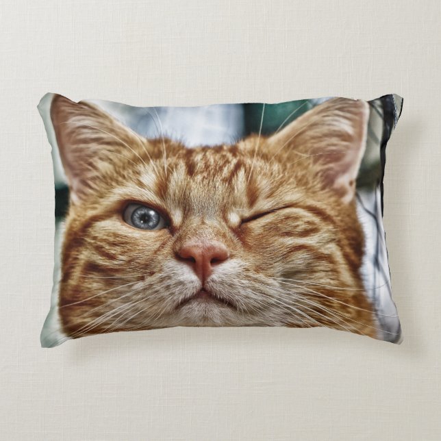 Coussin Lumbar 13 pouces x 21 pouces (Devant)