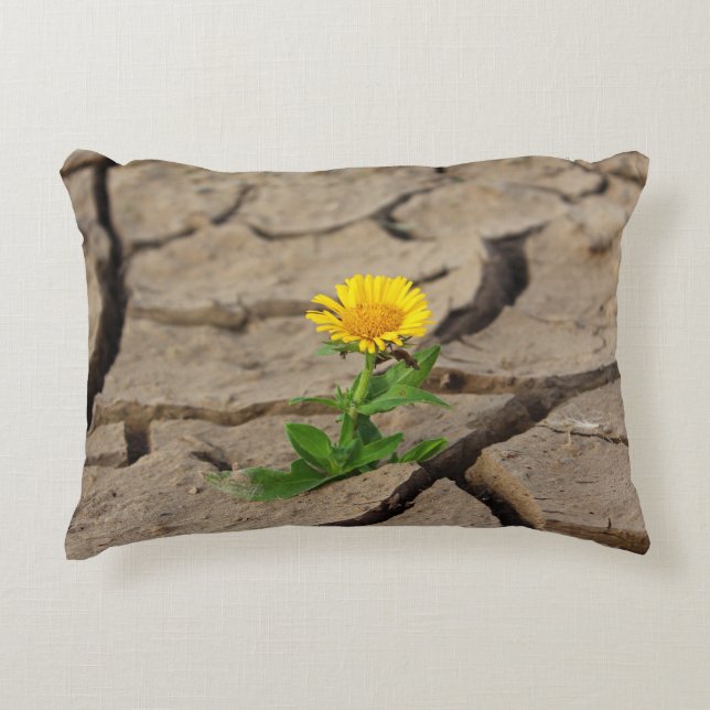 Coussin Lumbar 13 pouces x 21 pouces (Devant)