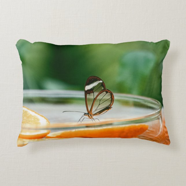 Coussin Lumbar 13 pouces x 21 pouces (Devant)